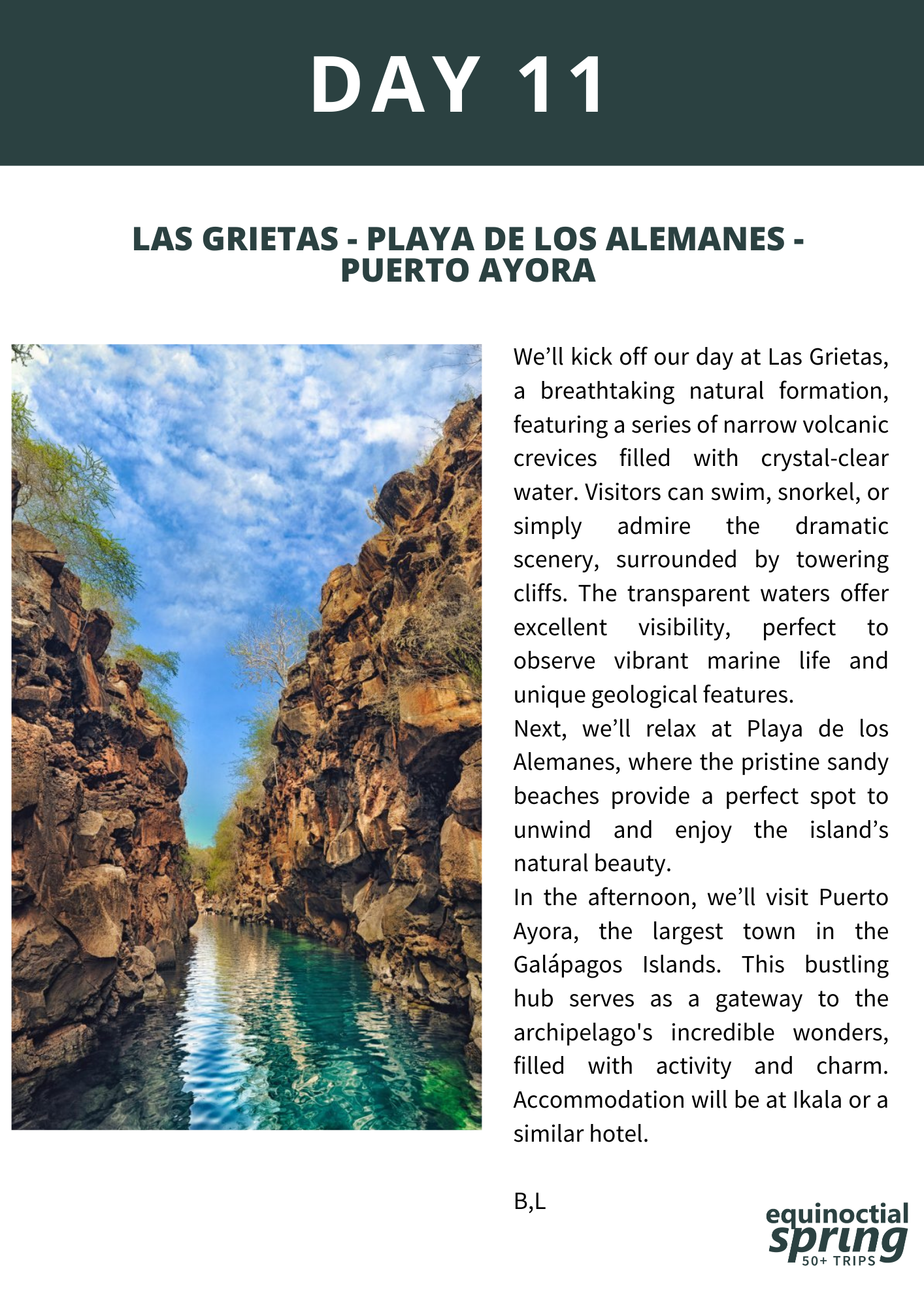 Explore Puerto Ayora, Las Grietas, and the serene Playa de los Alemanes.