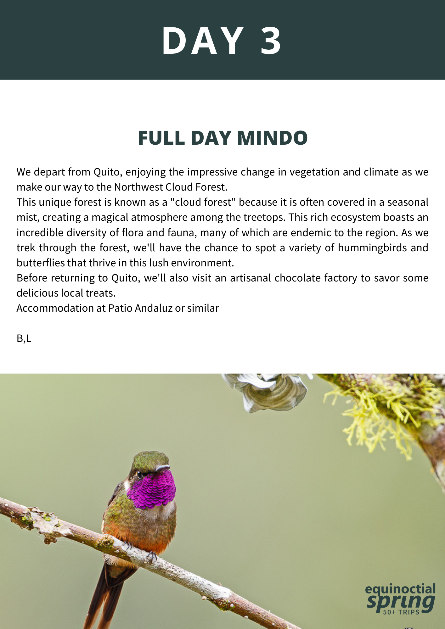 Discover Mindo: Nature trails, waterfalls, and vibrant wildlife in a single day.