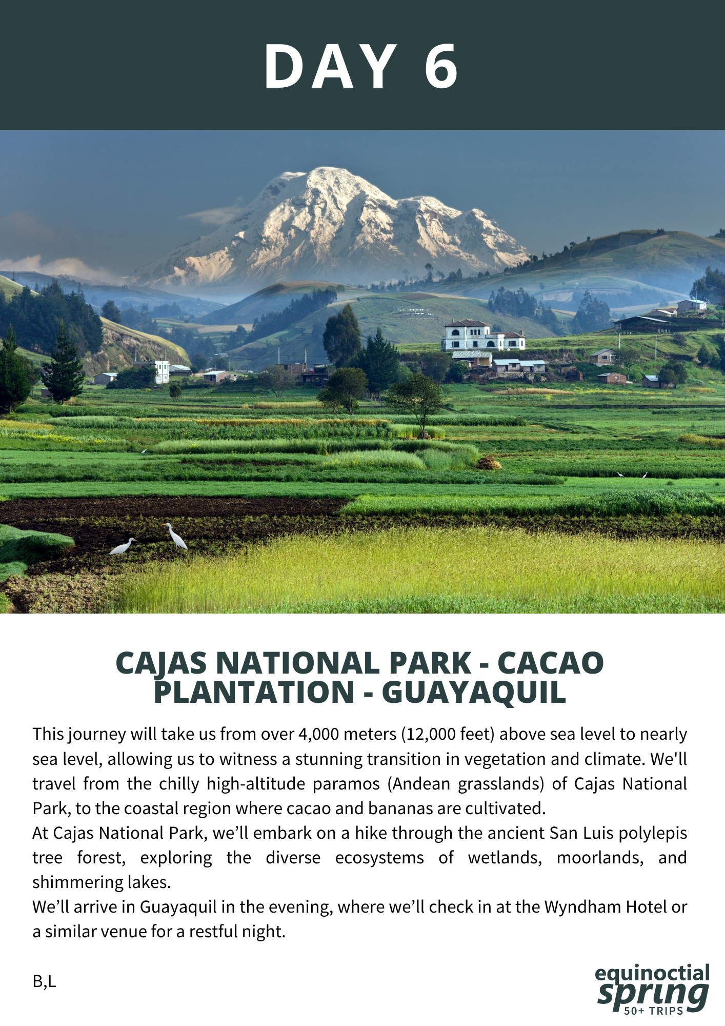 From Cajas’ stunning landscapes to Guayaquil via cacao fields.